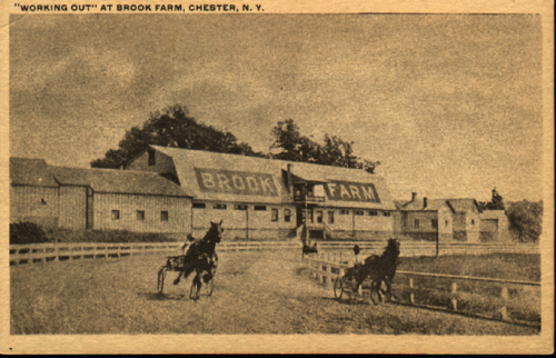 “Working Out” at Brook Farm, Chester, N.Y. Circa 1920. chs-001325